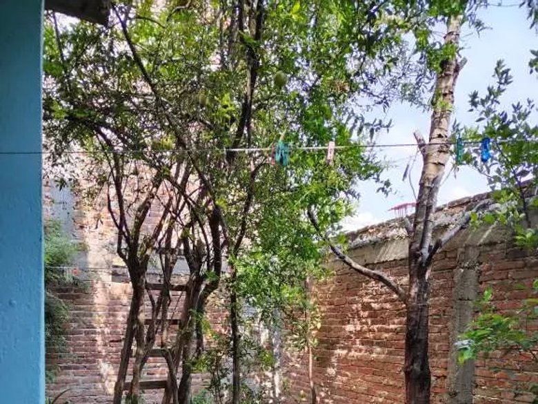 Casa Mascareña — 11 photos
