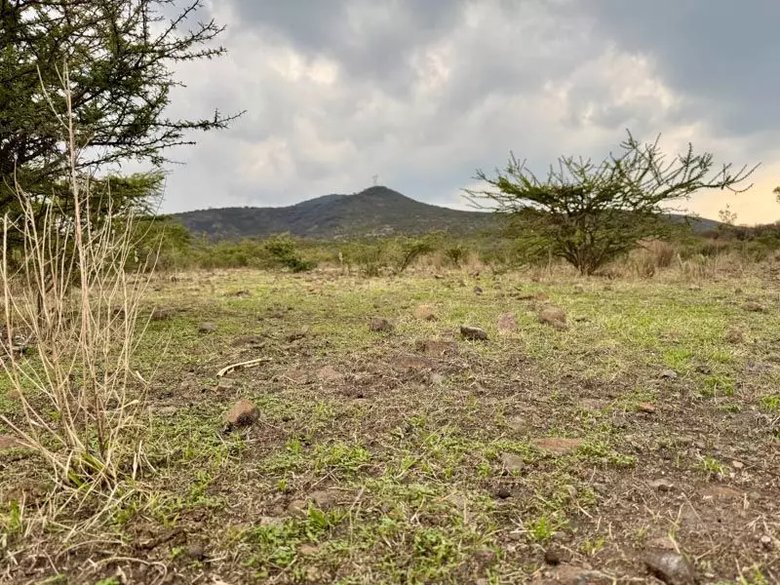El Tigre Lot — 1 photos