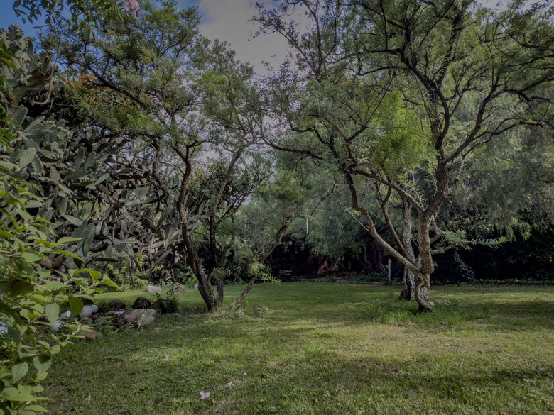 Casa Persea — 4 photos