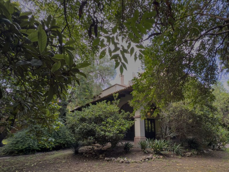 Casa Persea — 11 photos