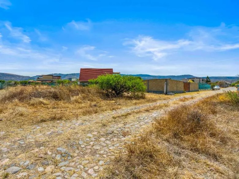 Lote Alcocer — 8 photos