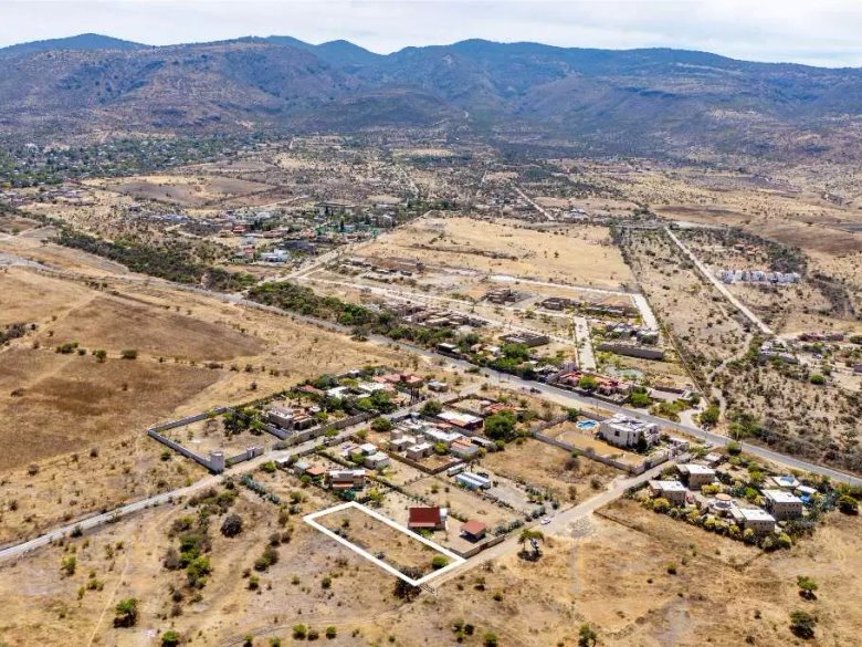 Lote Alcocer — 14 photos