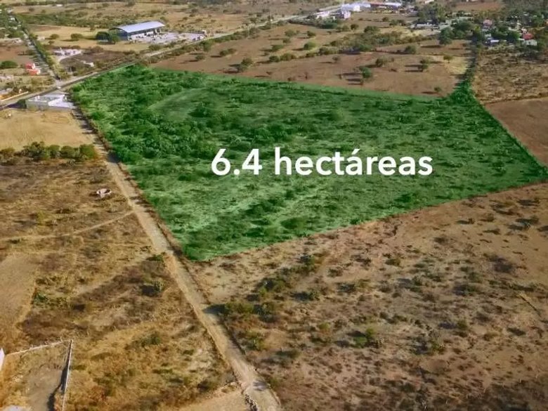 Rancho Los Organos 6.4 Ha — 3 photos