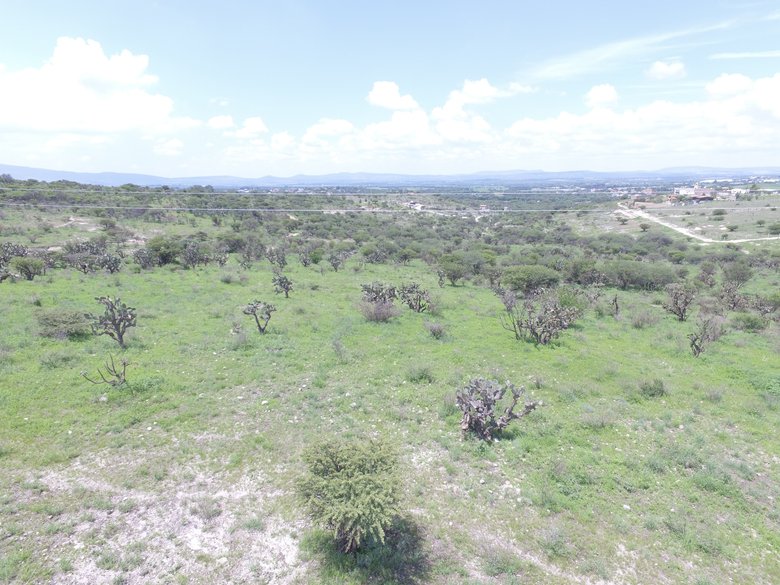 Land 10,764 square feet in Temazacallis - Nature and tranquility — 5 photos