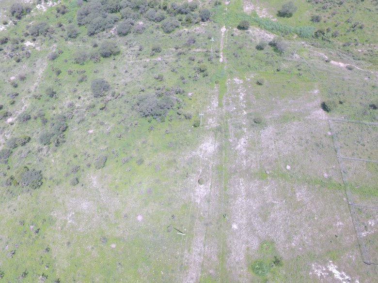 Land 10,764 square feet in Temazacallis - Nature and tranquility — 2 photos