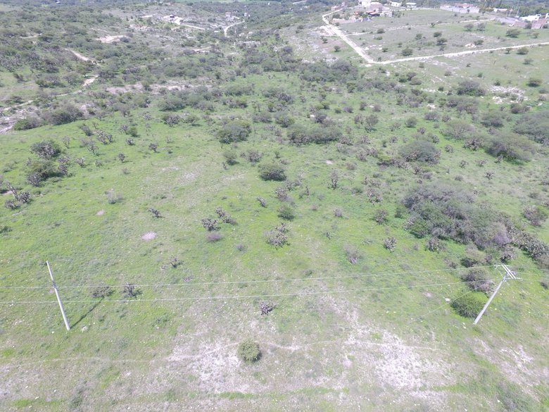 Land 10,764 square feet in Temazacallis - Nature and tranquility — 4 photos
