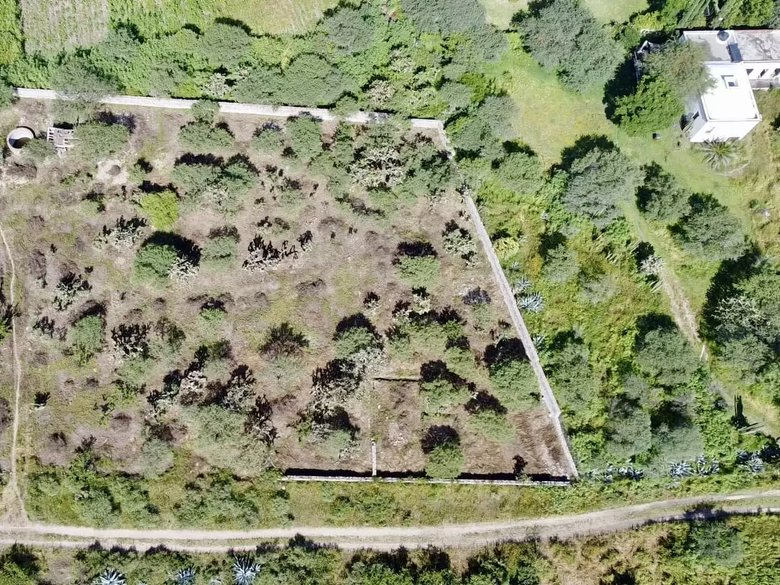 Lote Ponce — 9 photos