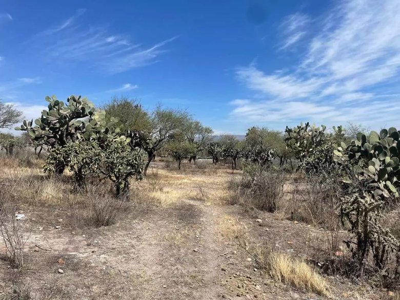 Lote Ponce — 4 photos