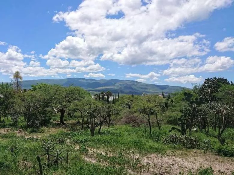 Lote Ponce — 1 photos
