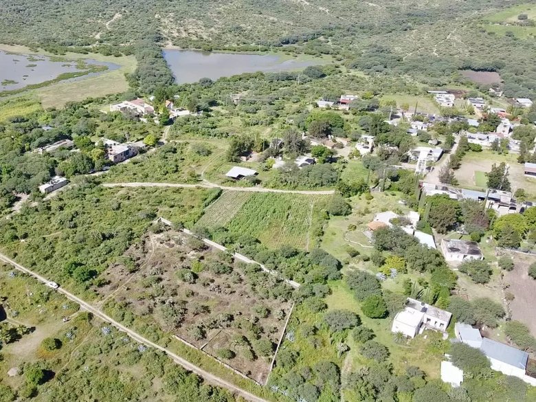 Lote Ponce — 8 photos