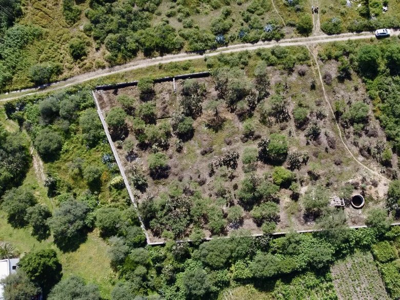 Lote Ponce — 11 photos