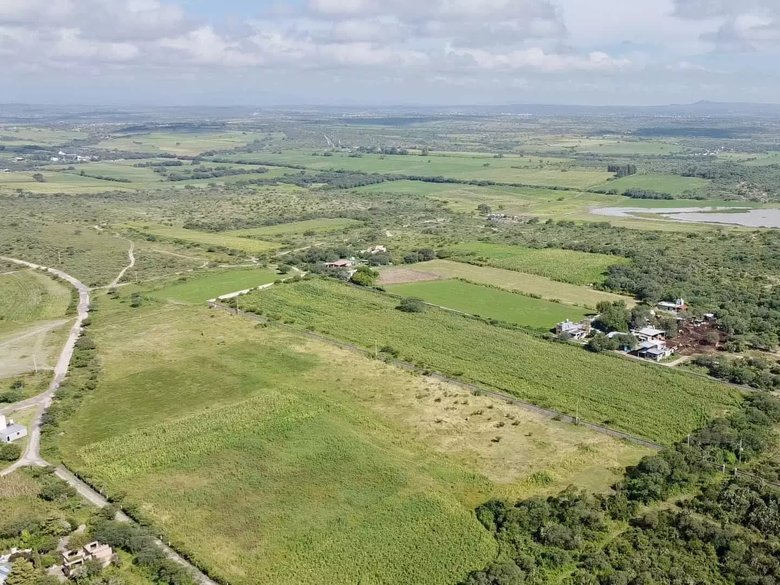 Lote Ponce — 6 photos