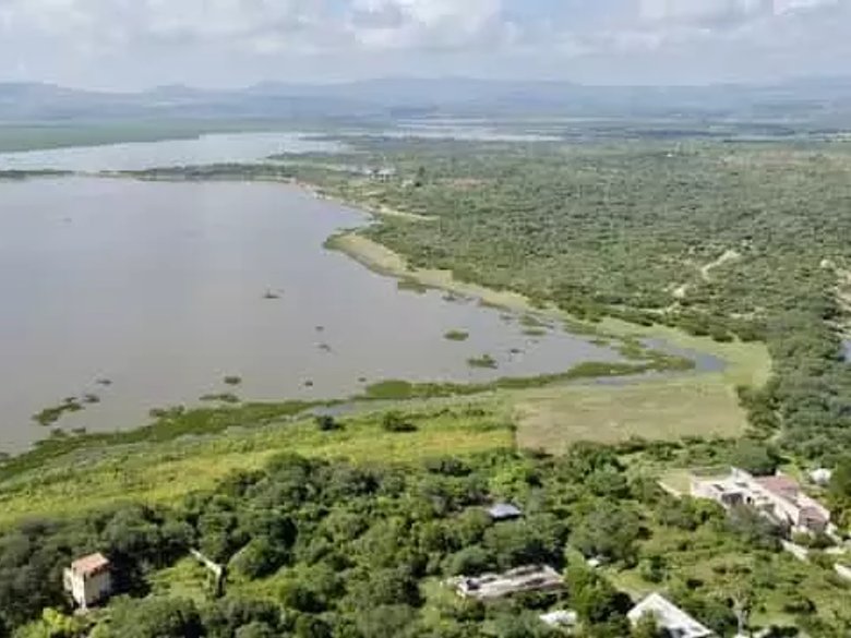 Lote Ponce — 5 photos