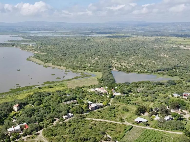 Lote Ponce — 7 photos