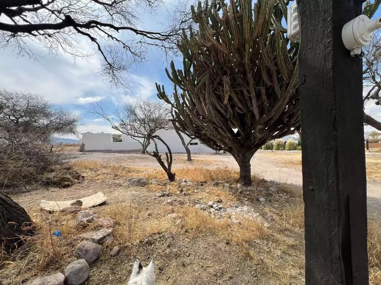 Terreno Otomi — 4 photos