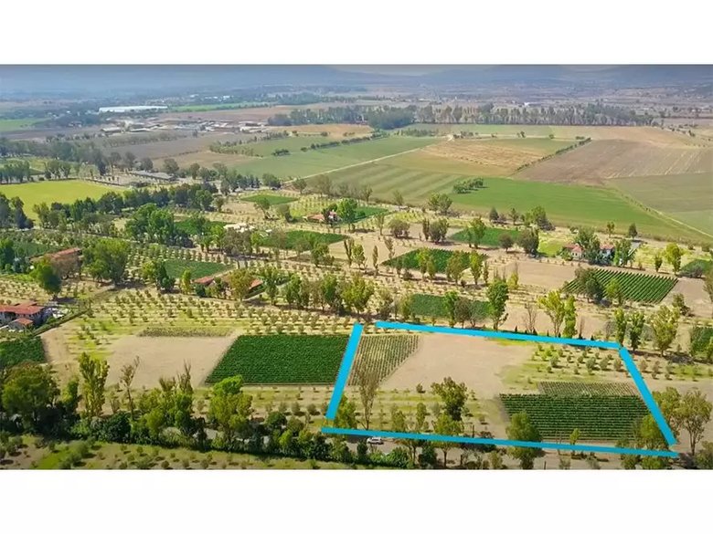 Lote Viñedo San Lucas — 1 photos