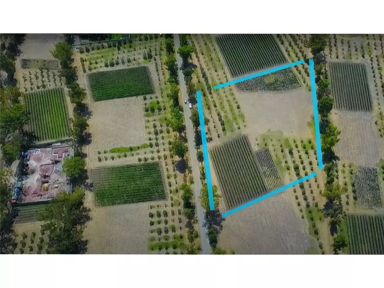 Lote Viñedo San Lucas — 6 photos