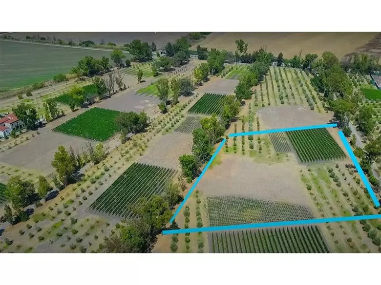 Lote Viñedo San Lucas — 7 photos
