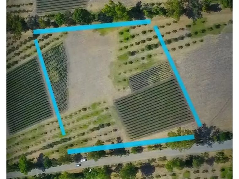 Lote Viñedo San Lucas — 5 photos