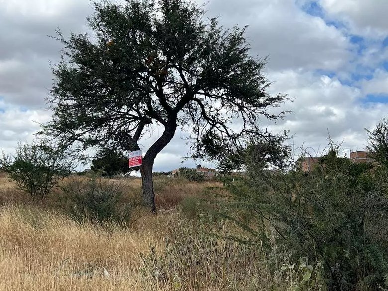 Lote Lidia — 6 photos