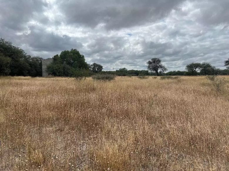 Lote Terra — 6 photos