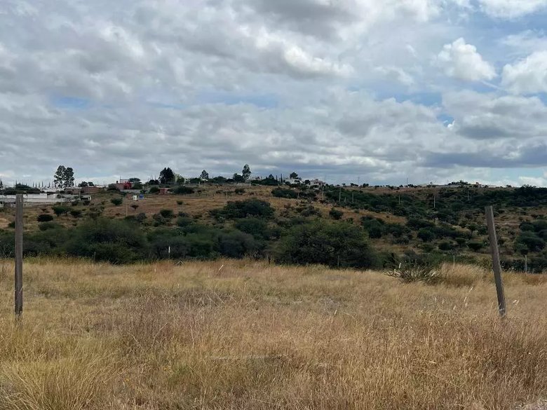 Lote Tatli — 2 photos