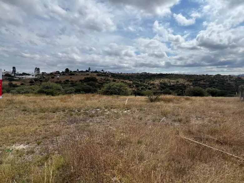 Lote Tatli — 5 photos