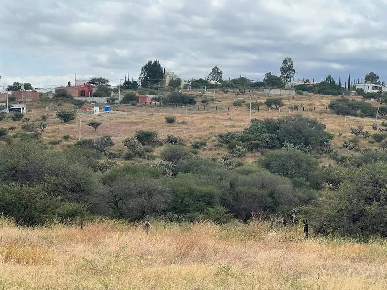 Lote Tatli — 4 photos