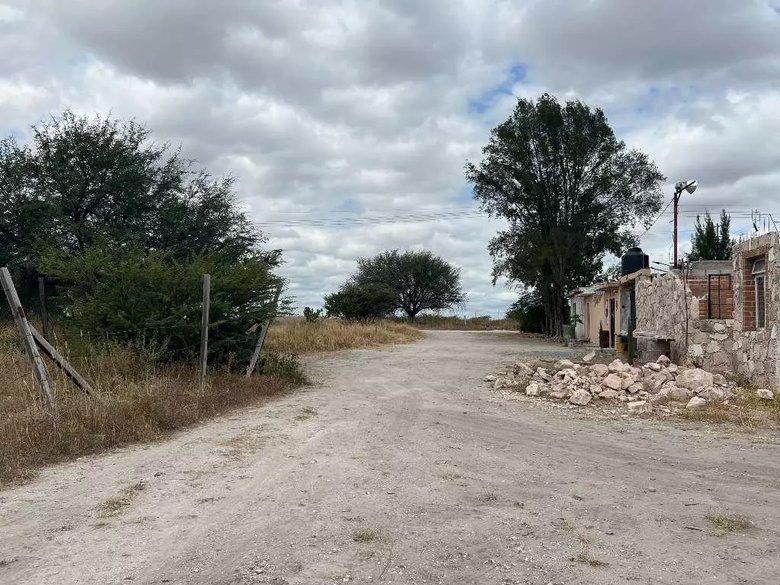 Lote Tatli — 8 photos