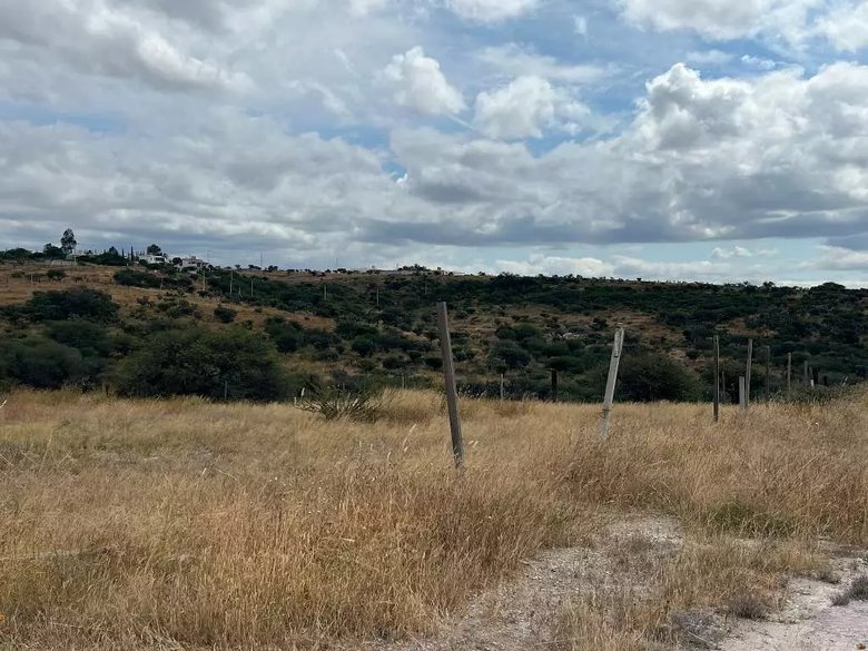 Lote Tatli — 7 photos