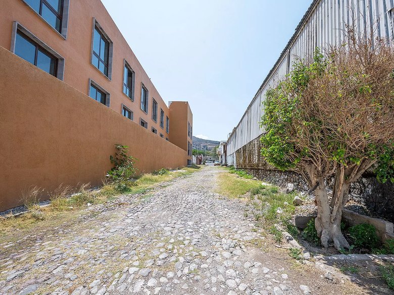 Lote Clevia 9 — 13 photos