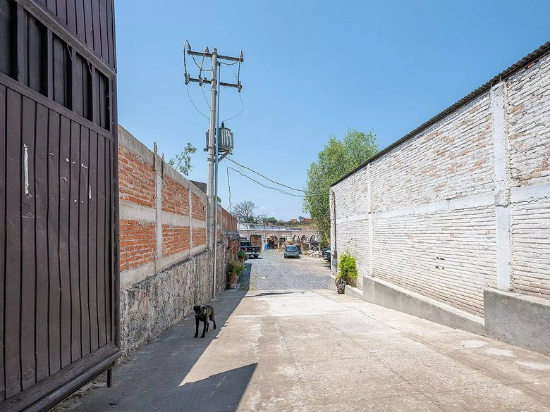 Lote Clevia 9 — 12 photos