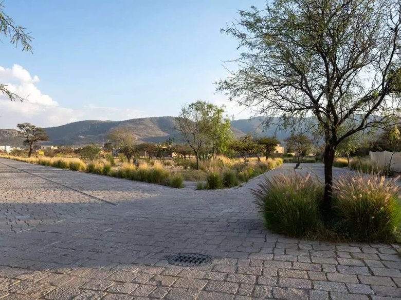 Lot Roble La Providencia — 7 photos