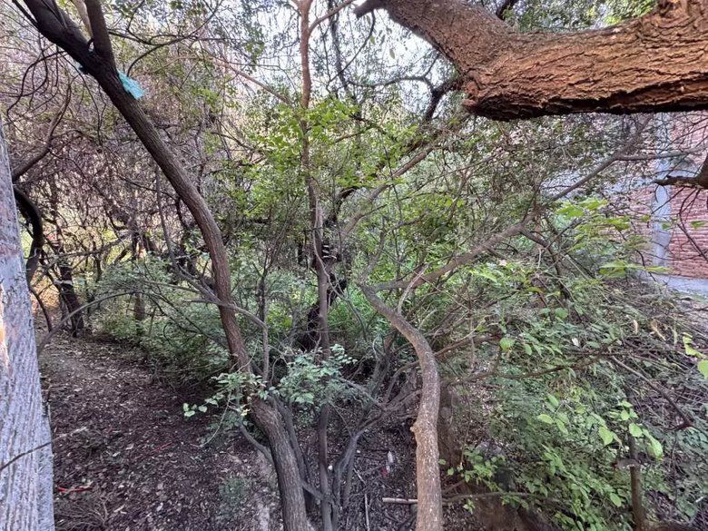 Callejón Ojo De Agua — 9 fotos