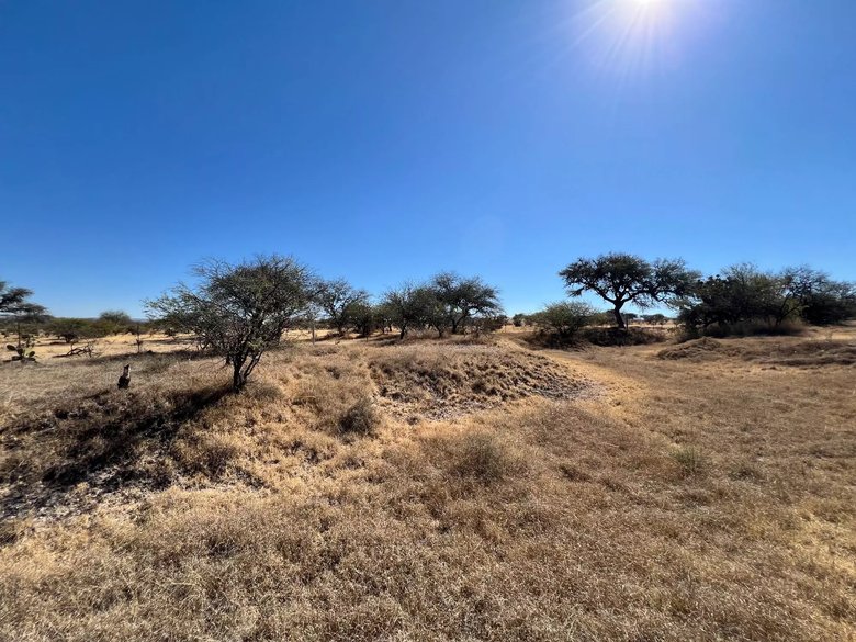 2.5 Hectares of premium Housing land — 7 photos