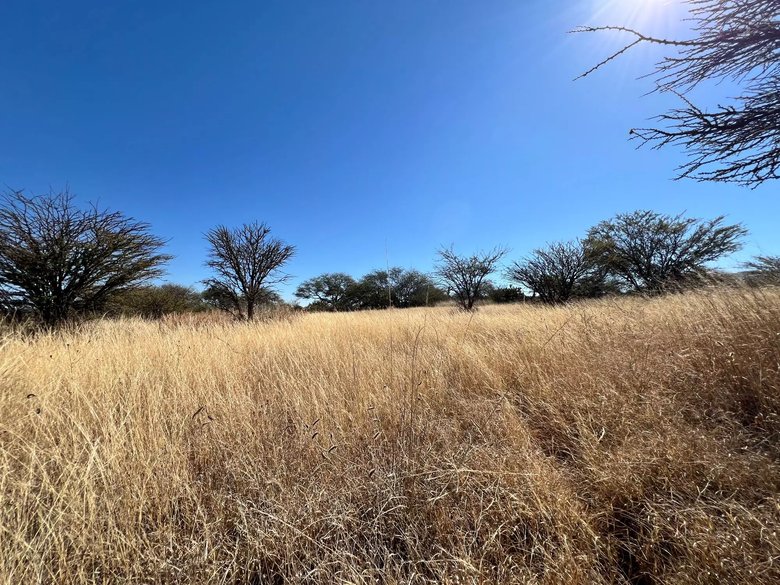 2.5 Hectares of premium Housing land — 4 photos