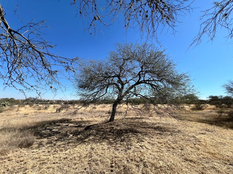 2.5 Hectares of premium Housing land — 10 photos