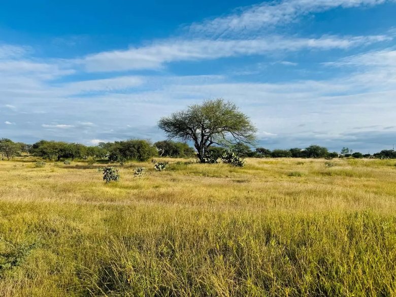 2.5 Hectares of premium Housing land — 1 photos