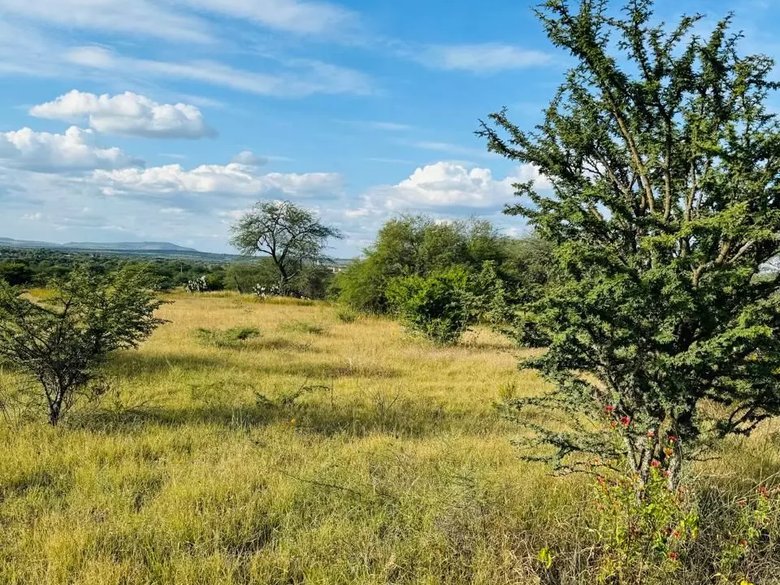 2.5 Hectares of premium Housing land — 3 photos