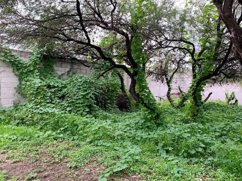 Lote Cieneguita Baños — 3 photos