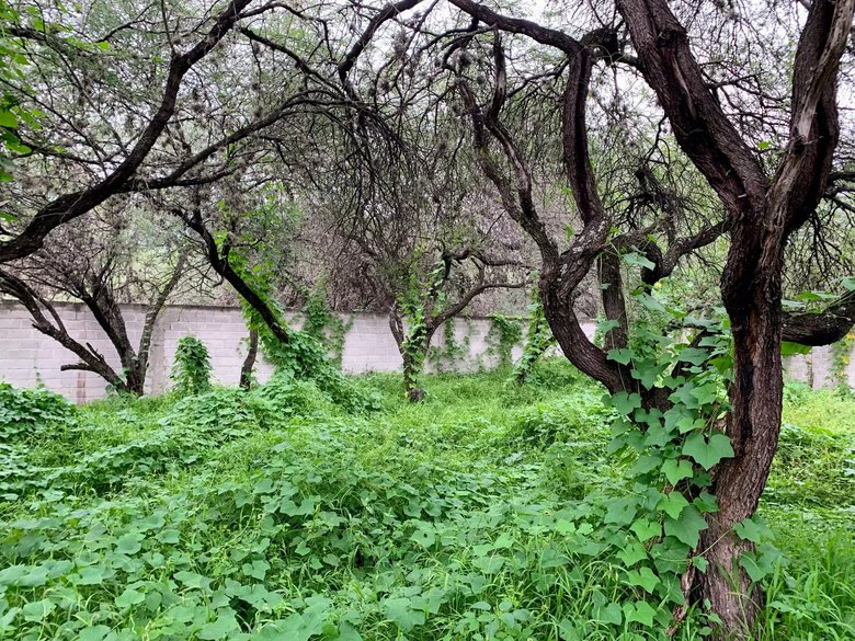 Lote Cieneguita Baños — 4 photos