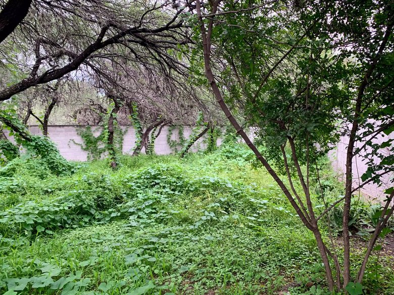 Lote Cieneguita Baños — 5 photos