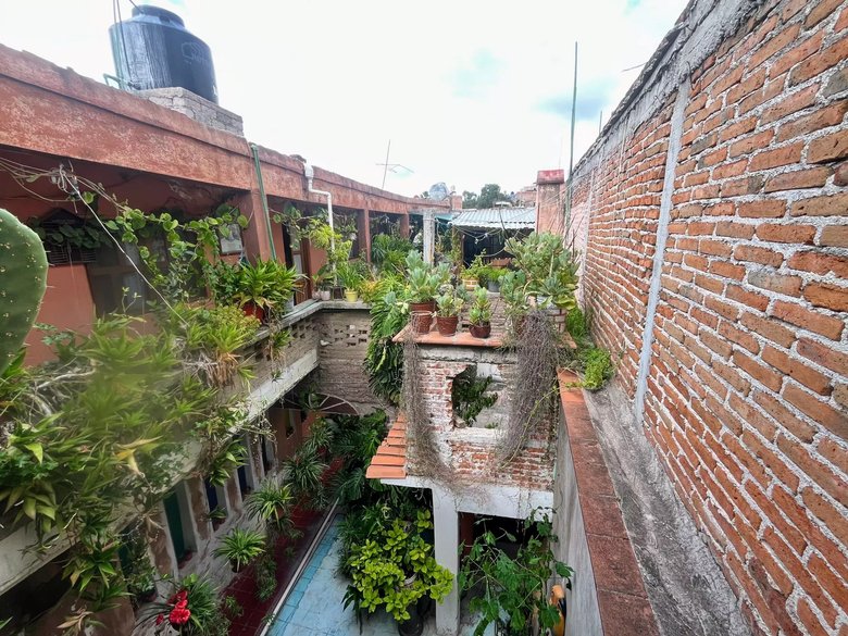 Calzada de La luz 71 — 14 photos