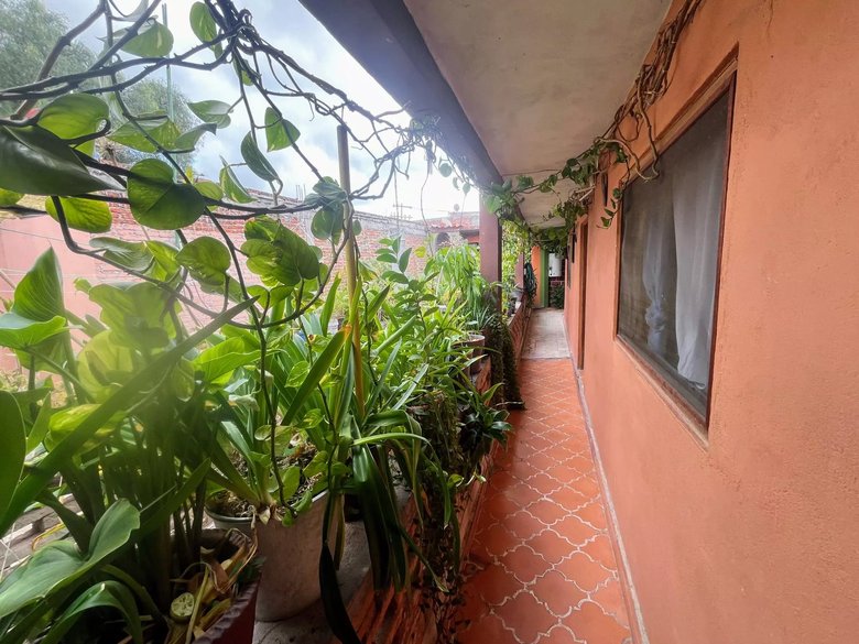 Calzada de La luz 71 — 23 photos
