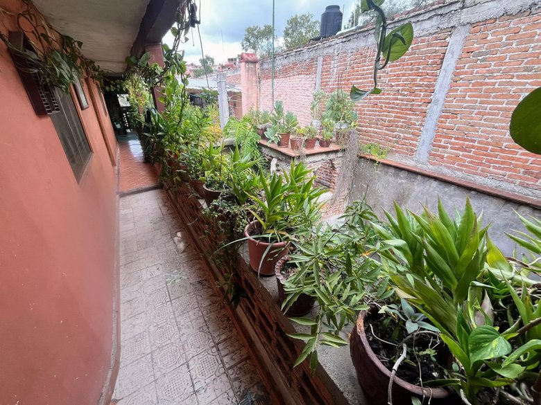 Calzada de La luz 71 — 8 photos