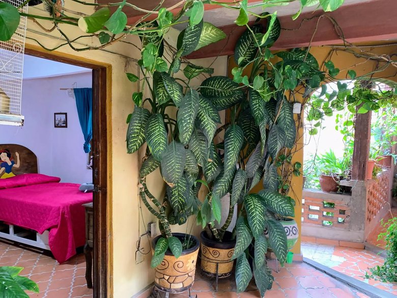 Calzada de La luz 71 — 20 photos