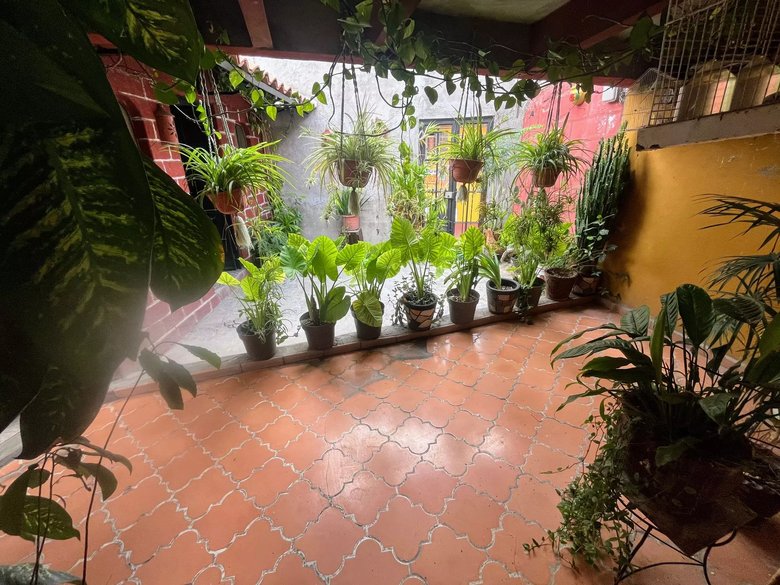 Calzada de La luz 71 — 22 photos