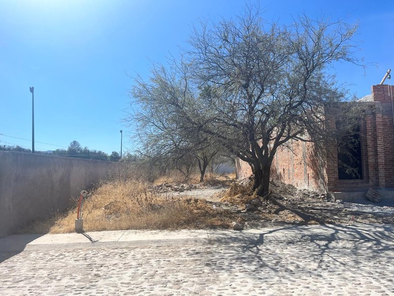 Lot in San Miguel de Allende, Canvas for Your Dreams — 2 photos