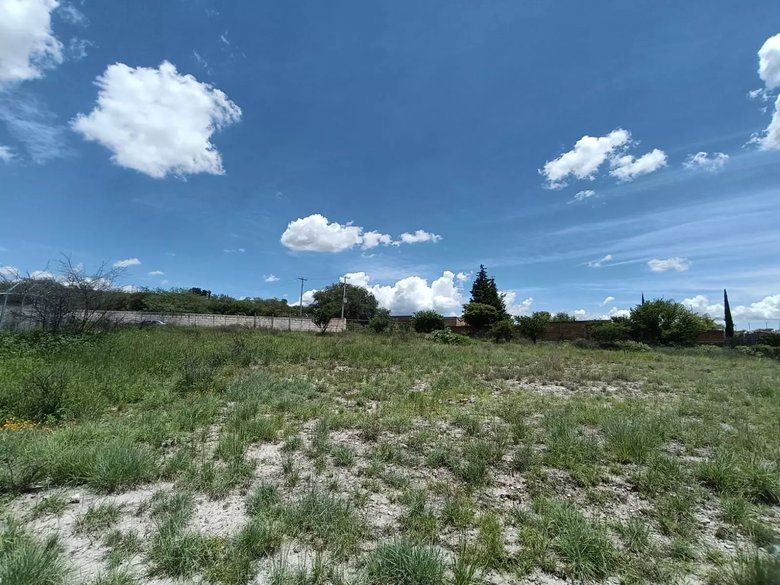 Lote Angeles — 9 photos