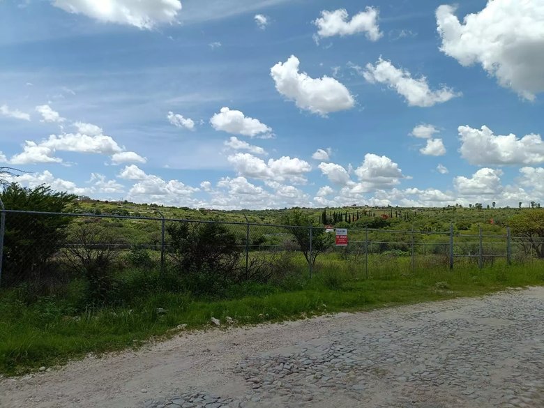 Lote Angeles — 10 photos